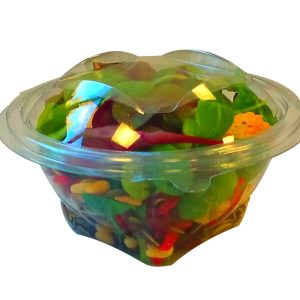 SCR250cc Round Domed Hinged Lid SLR Containers-0