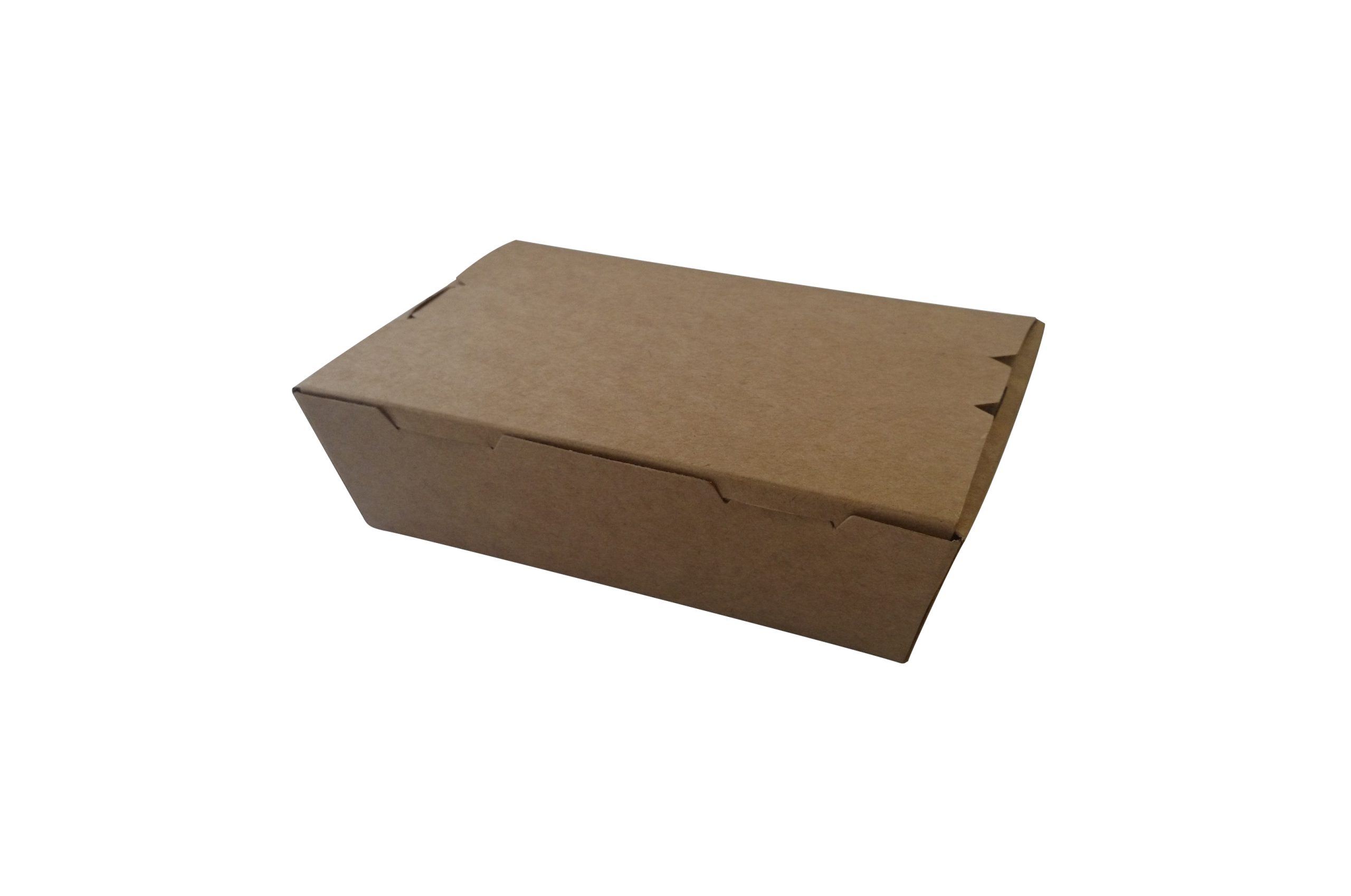 Brown Hinged Large Lunch Box