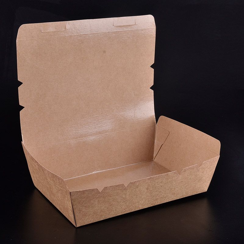 Brown Hinged Medium Lunch Box (100)
