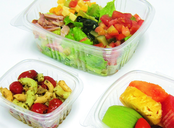 Rectangular (MAJ)Hinged Clear Containers