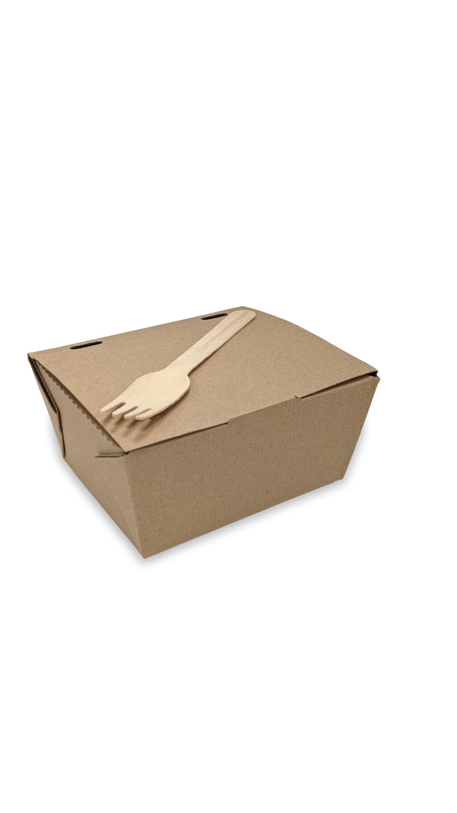 CFB-SQ1300-Corrugated 1300cc Rectangular Food Box Brown  13×13 x7cm